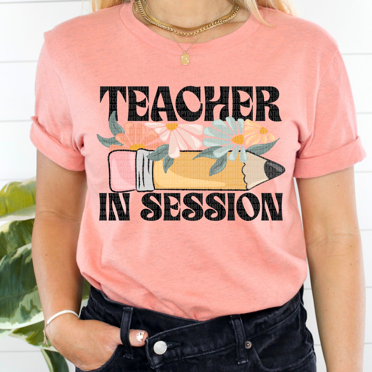 Teacher In Session