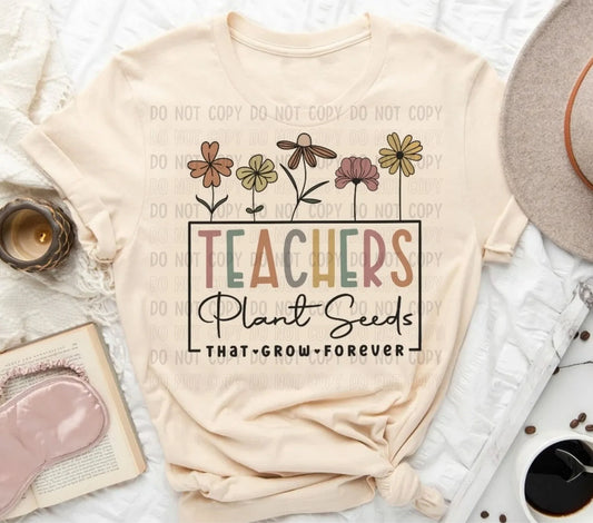 Teacher Plant Seeds